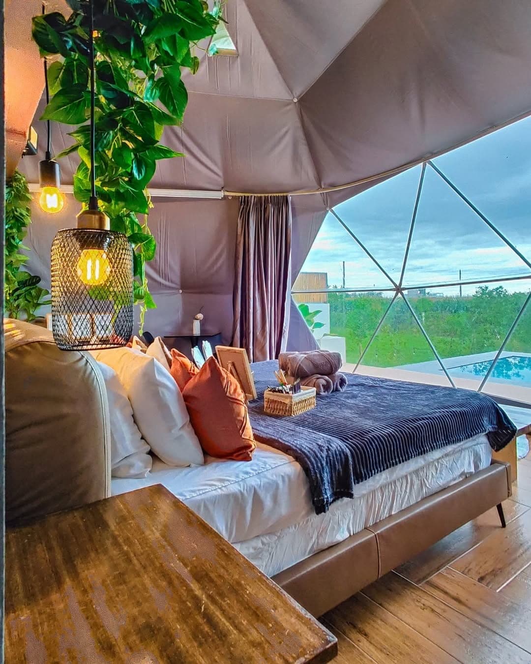 Dome 2: the bed with the window looking out to the pool